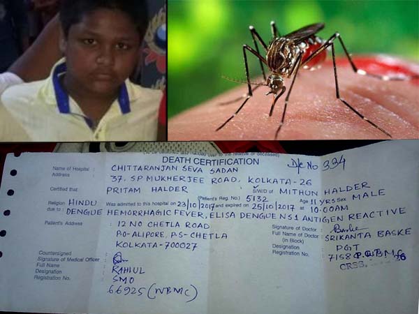 ডেঙ্গিতে বাড়ছে মৃতের সংখ্যা, দলীয় বৈঠকে মানতে নারাজ মুখ্যমন্ত্রী ডেঙ্গিতে বাড়ছে মৃতের সংখ্যা, দলীয় বৈঠকে মানতে নারাজ মুখ্যমন্ত্রী