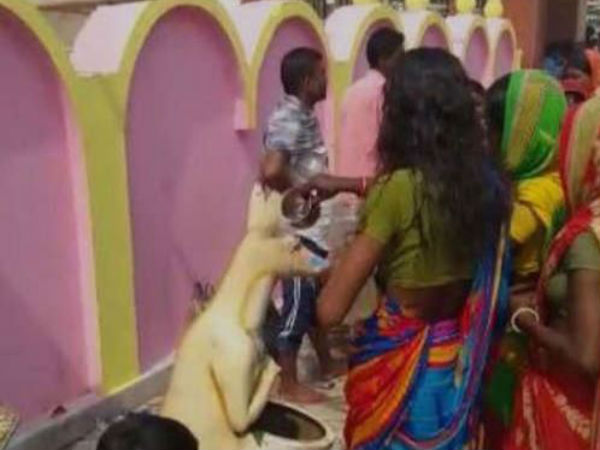 দেবতা ভেবে ক্যাঙারু ডাস্টবিনকে পুজো, ভাইরাল হল ভিডিও দেবতা ভেবে ক্যাঙারু ডাস্টবিনকে পুজো, ভাইরাল হল ভিডিও