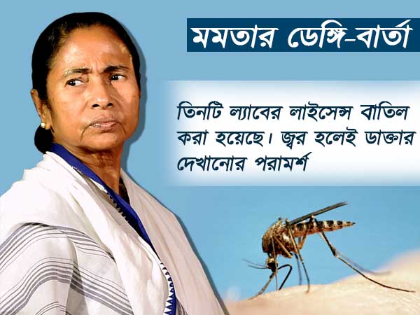 ‘সরকার মশার আমদানি করে না’, ডেঙ্গির জন্য কার দিকে আঙুল তুললেন মমতা ‘সরকার মশার আমদানি করে না’, ডেঙ্গির জন্য কার দিকে আঙুল তুললেন মমতা