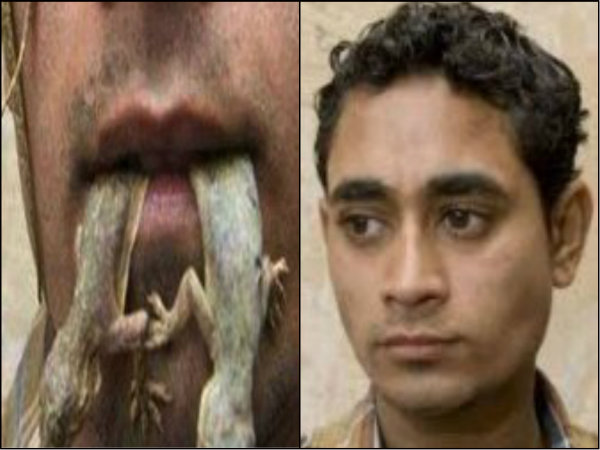 দিনে ৩ বেলা টিকটিকি না খেলে ঘুম হয় না, চিনুন এই 'বিষ পুরুষ'কে দিনে ৩ বেলা টিকটিকি না খেলে ঘুম হয় না, চিনুন এই 'বিষ পুরুষ'কে