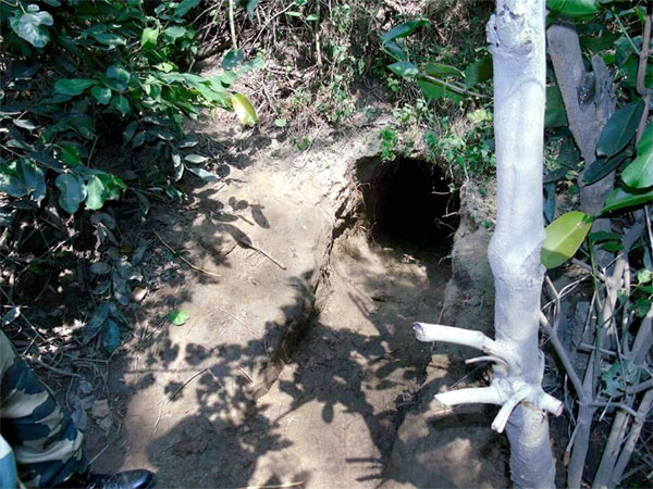 জঙ্গি অনুপ্রবেশে পাকিস্তানের ছক বানচাল, জম্মুর আরনিয়ায় সুরঙ্গের খোঁজ পেল বিএসএফ জঙ্গি অনুপ্রবেশে পাকিস্তানের ছক বানচাল, জম্মুর আরনিয়ায় সুরঙ্গের খোঁজ পেল বিএসএফ