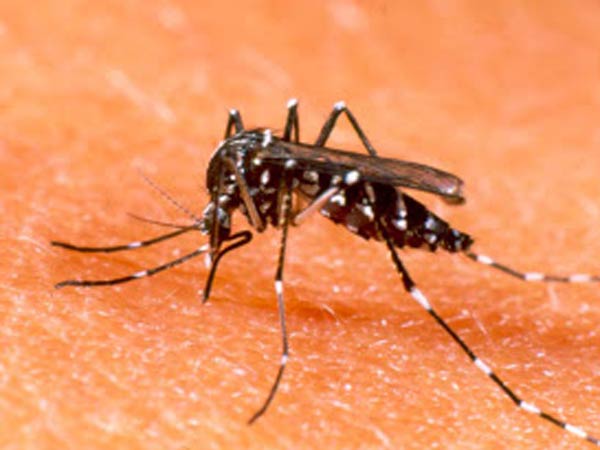 নমুনা সংগ্রহ