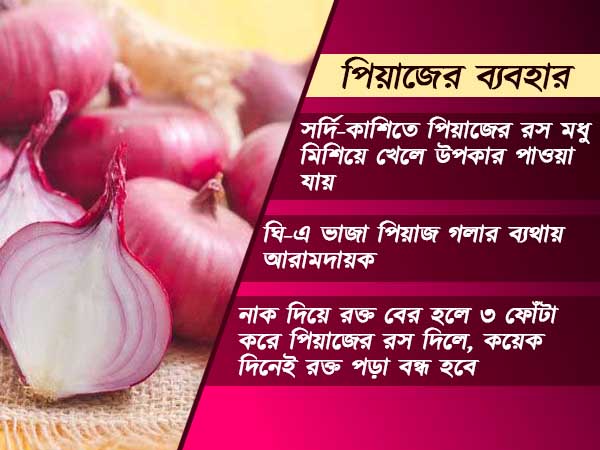 দৈনন্দিন জীবনে পিয়াজের ব্যবহার