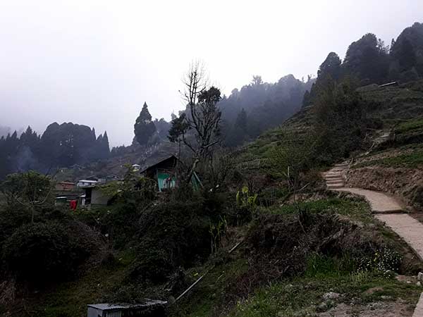 চাষবাস আর পশুপালনেই চলে গোর্খের সংসার
