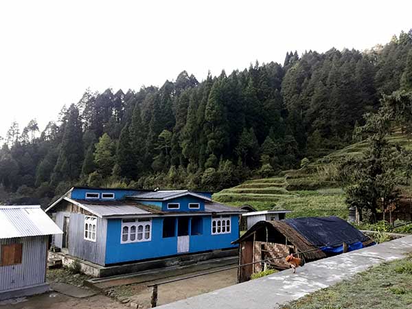 গোর্খে খোলার পাশেই রয়েছে নাসপাতির গাছ, আর নীল পাখীর কুজন