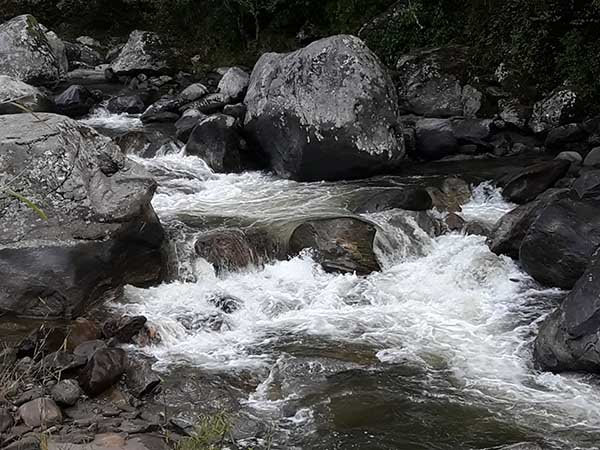 রিনঝিন করা শব্দে আপনাকে ডাকবে গোর্খে খোলা