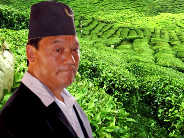 গ্রেফতারিতে স্থগিতাদেশের পরই ‘হুঙ্কার’ গুরুংয়ের, ফের গোর্খ্যাল্যান্ড দাবি! কী কৌশল মমতার গ্রেফতারিতে স্থগিতাদেশের পরই ‘হুঙ্কার’ গুরুংয়ের, ফের গোর্খ্যাল্যান্ড দাবি! কী কৌশল মমতার