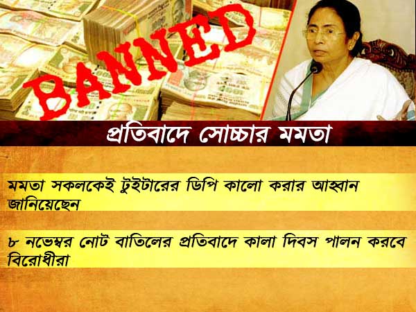 সোচ্চার মমতা বন্দ্যোপাধ্যায় সোচ্চার মমতা বন্দ্যোপাধ্যায়