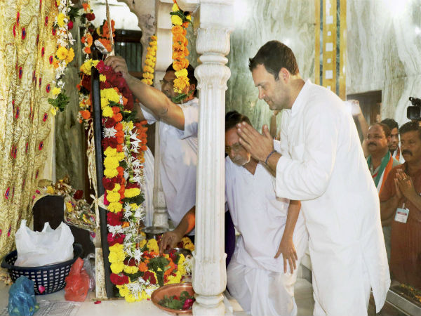 মন্দিরে পুজো দিয়ে উত্তর গুজরাতে নির্বাচনী প্রচার শুরু রাহুলের, কটাক্ষ মোদীর দলের মন্দিরে পুজো দিয়ে উত্তর গুজরাতে নির্বাচনী প্রচার শুরু রাহুলের, কটাক্ষ মোদীর দলের