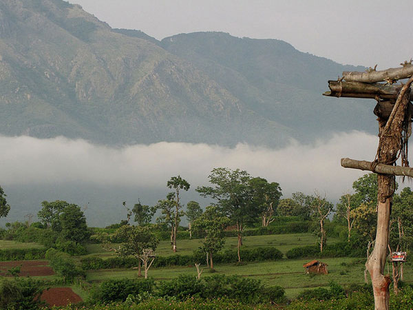 মকর