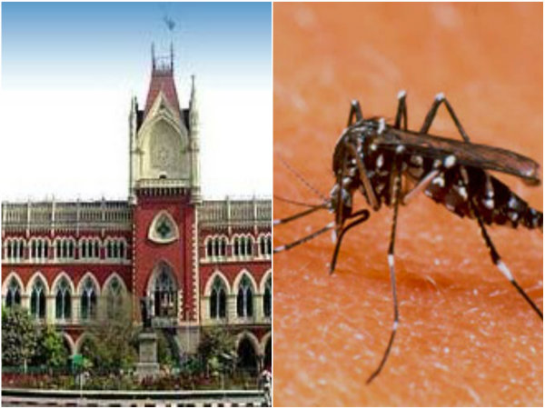 ডেঙ্গি নিয়ে রাজ্যকে এমনই কড়া নির্দেশ হাইকোর্টের ডেঙ্গি নিয়ে রাজ্যকে এমনই কড়া নির্দেশ হাইকোর্টের