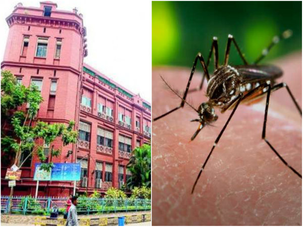 ফের ডেঙ্গি আক্রান্তের মৃত্যু, পাম এভিনিউ-এর বালকের মৃত্যু এসএসকেএমে ফের ডেঙ্গি আক্রান্তের মৃত্যু, পাম এভিনিউ-এর বালকের মৃত্যু এসএসকেএমে