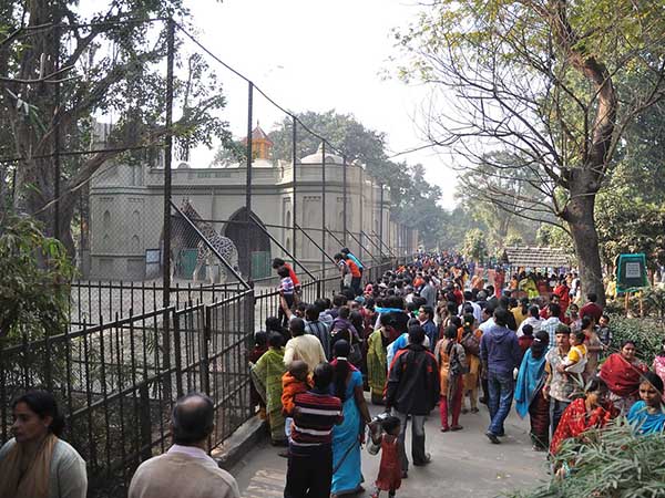 সবচেয়ে হিট কারা