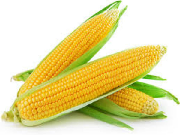 ভুট্টা
