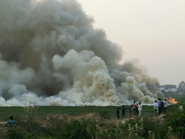 সেনা যা জানিয়েছে