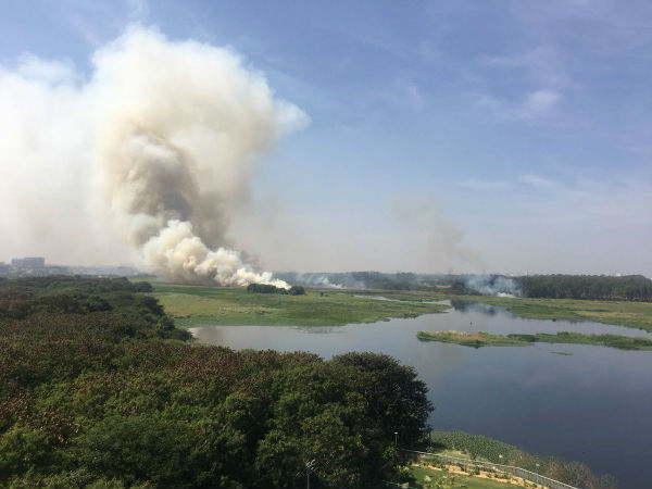 ঘটনা সম্পর্কে কয়েকটি তথ্য
