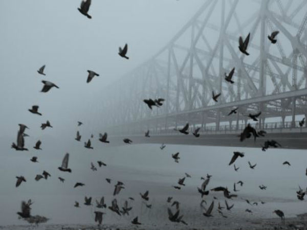 মঙ্গলবারও কুয়াশার দাপট, এই আবহাওয়া কত দিন, জেনে নিন মঙ্গলবারও কুয়াশার দাপট, এই আবহাওয়া কত দিন, জেনে নিন