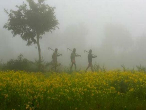ফের কমল তাপমাত্রা, ফর্মে ফিরল শীত ফের কমল তাপমাত্রা, ফর্মে ফিরল শীত