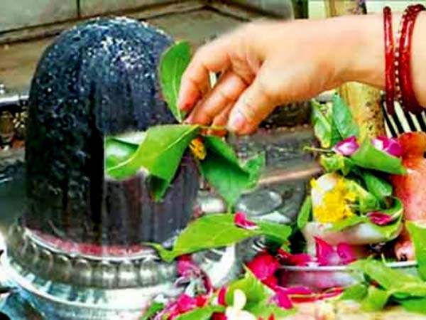 দূর্বা ঘাস