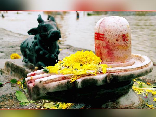 আকন্দ ফুল