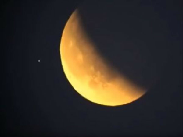 ভাইরাল ভিডিও