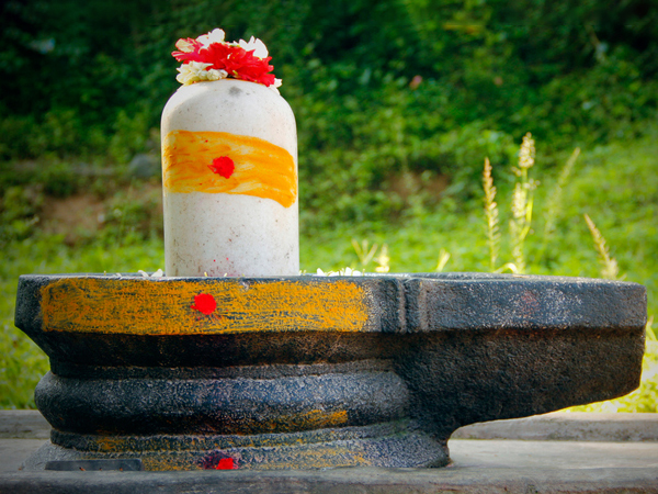 গৃহস্থের মানুষের স্বাস্থ্য রক্ষা করতে