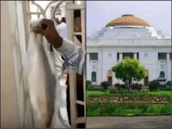 এবার বিধানসভায় মাছ বিলি! দিলীপের লজেন্স বিলিতে উৎসাহিত সরকার পক্ষ এবার বিধানসভায় মাছ বিলি! দিলীপের লজেন্স বিলিতে উৎসাহিত সরকার পক্ষ