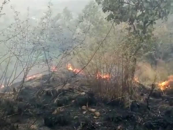 তামিলনাড়ুতে ফরেস্ট ফায়ার! কমপক্ষে ৫ ট্রেকারের মৃত্যু তামিলনাড়ুতে ফরেস্ট ফায়ার! কমপক্ষে ৫ ট্রেকারের মৃত্যু