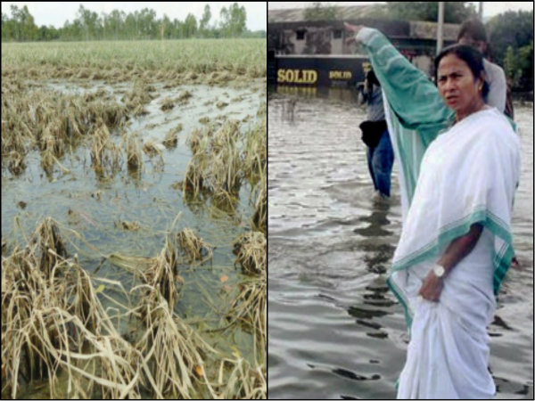 কৃষকের মুখের হাসি ফিরিয়ে দিলেন মমতা, বন্যায় ক্ষতিগ্রস্তদের আর্থিক সহায়তা রাজ্যের কৃষকের মুখের হাসি ফিরিয়ে দিলেন মমতা, বন্যায় ক্ষতিগ্রস্তদের আর্থিক সহায়তা রাজ্যের