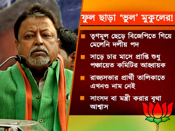 ফুল ছেড়ে তবে কি ভুল করেছেন কাঁচরাপাড়ার ‘কাঁচাছেলে’! বিজেপিতে হতাশ মুকুলপন্থীরা ফুল ছেড়ে তবে কি ভুল করেছেন কাঁচরাপাড়ার ‘কাঁচাছেলে’! বিজেপিতে হতাশ মুকুলপন্থীরা