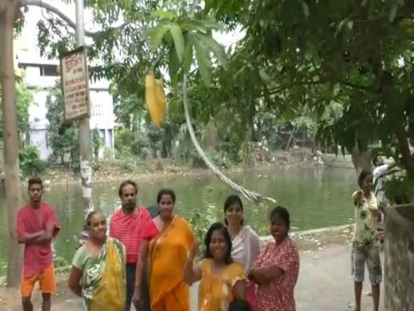 ঝড়ের পরের দিনেও রাস্তায় ছেঁড়া তার, হুঁশ নেই সিইএসসির! কর্মীরা কী বলছেন, দেখে নিন ভিডিও ঝড়ের পরের দিনেও রাস্তায় ছেঁড়া তার, হুঁশ নেই সিইএসসির! কর্মীরা কী বলছেন, দেখে নিন ভিডিও