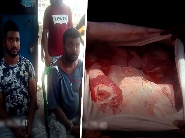ভাগাড়ে ফেলে দেওয়া মরা পশুর মাংস বিক্রির পর্দা ফাঁস ভাগাড়ে ফেলে দেওয়া মরা পশুর মাংস বিক্রির পর্দা ফাঁস
