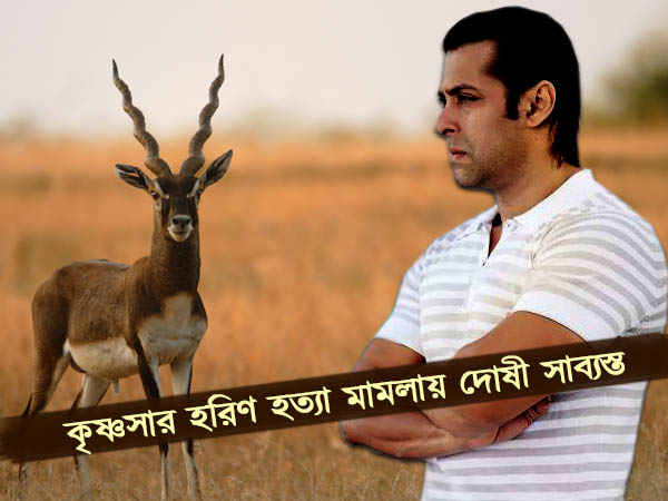 কৃষ্ণসার হরিণহত্যা মামলায় দোষী সাব্যস্ত সলমন খান,চলছে সাজার শুনানি কৃষ্ণসার হরিণহত্যা মামলায় দোষী সাব্যস্ত সলমন খান,চলছে সাজার শুনানি