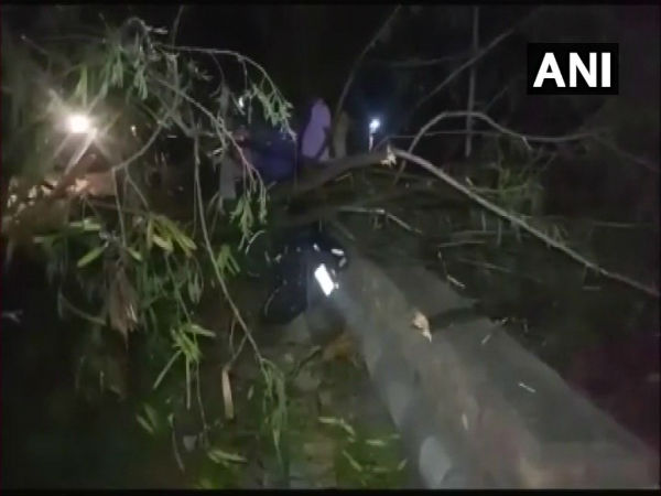 জোড়া কালবৈশাখীর তাণ্ডবে লন্ডভণ্ড কলকাতা-সহ রাজ্য! ১২ জনের মৃত্যু জোড়া কালবৈশাখীর তাণ্ডবে লন্ডভণ্ড কলকাতা-সহ রাজ্য! ১২ জনের মৃত্যু