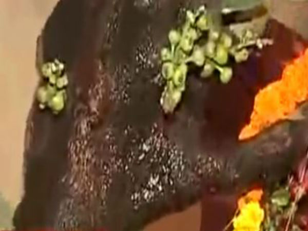 উল্টোডাঙায় গাছ থেকে কেন বেরোচ্ছে জল, কী বলছেন যুক্তিবাদীরা উল্টোডাঙায় গাছ থেকে কেন বেরোচ্ছে জল, কী বলছেন যুক্তিবাদীরা