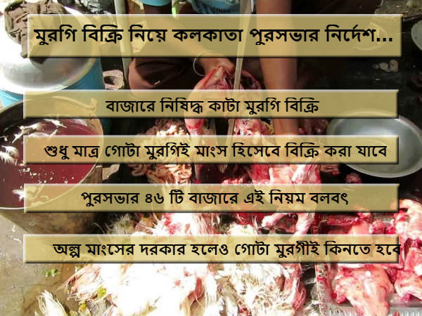 কাটা মুরগিতে কোপ কলকাতা পুরসভার কাটা মুরগিতে কোপ কলকাতা পুরসভার