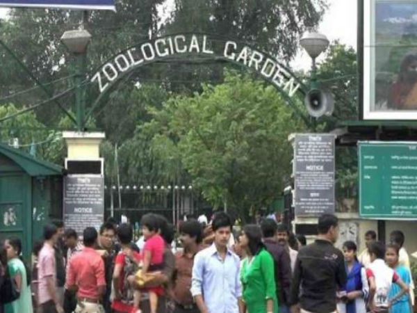 নিপা নিয়ে সতর্কবার্তা জারি আলিপুর চিড়িয়াখানায় নিপা নিয়ে সতর্কবার্তা জারি আলিপুর চিড়িয়াখানায়