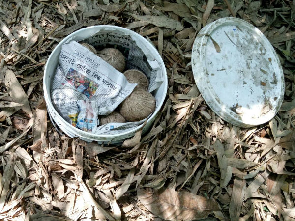 আরাবুলের বাগানে বোমার আড়ত! বোমা সংরক্ষণের ‘কায়দা’ দেখে চক্ষু চড়কগাছ আরাবুলের বাগানে বোমার আড়ত! বোমা সংরক্ষণের ‘কায়দা’ দেখে চক্ষু চড়কগাছ