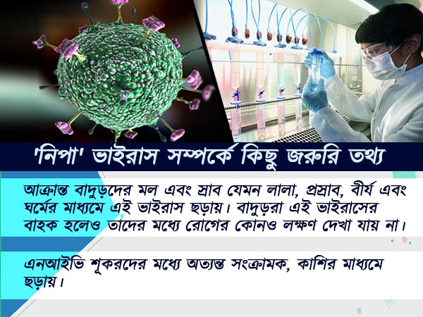 নিপার হাত থেকে বাঁচতে নিপার হাত থেকে বাঁচতে