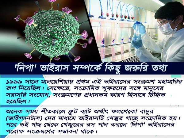 নিপার হাত থেকে বাঁচতে নিপার হাত থেকে বাঁচতে