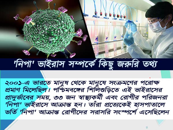 নিপার হাত থেকে বাঁচতে নিপার হাত থেকে বাঁচতে