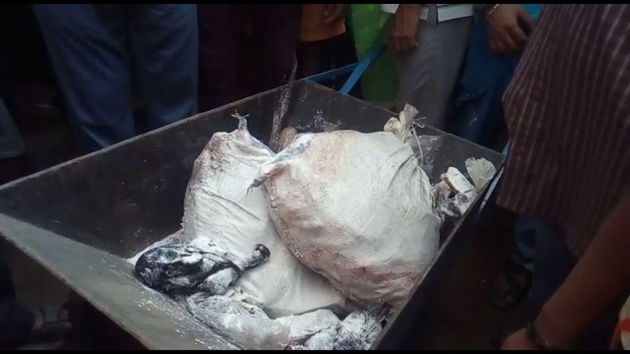 মাছেও পড়ল পচা হাত মাছেও পড়ল পচা হাত