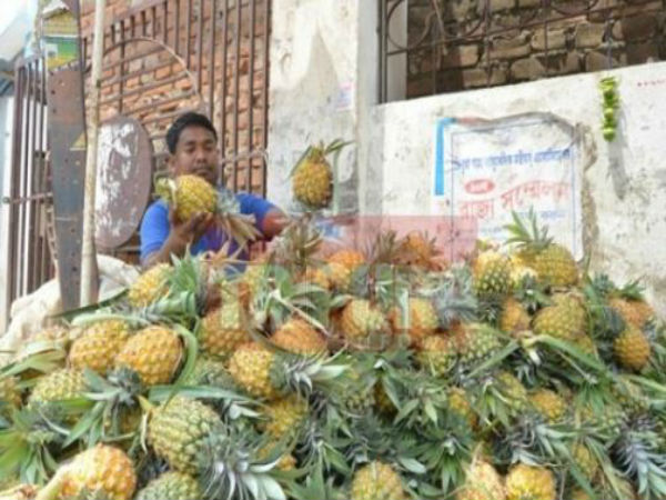 আনারস রপ্তানি! মৌ স্বাক্ষর ত্রিপুরার বিজেপি সরকারের আনারস রপ্তানি! মৌ স্বাক্ষর ত্রিপুরার বিজেপি সরকারের