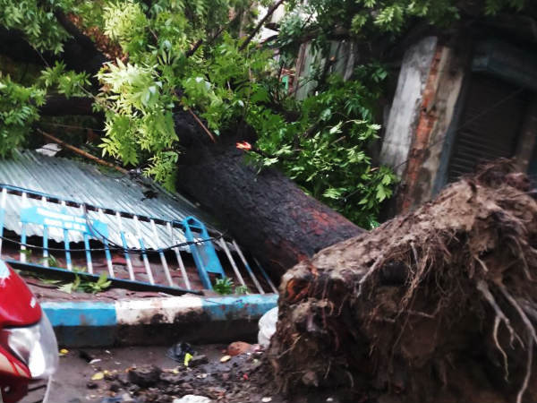 পঞ্চায়েতের সন্ত্রাসের গরমে কালবৈশাখীর স্বস্তির প্রলেপ পঞ্চায়েতের সন্ত্রাসের গরমে কালবৈশাখীর স্বস্তির প্রলেপ