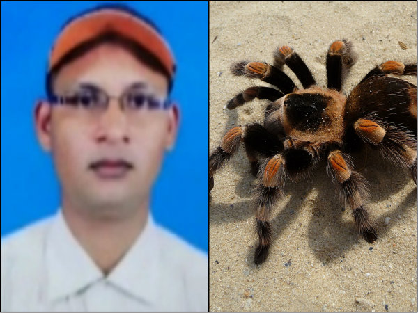 ট্রেনে টেরন্টুলার কামড়! ছেলের চিকিৎসা করিয়ে ফেরার পথে বাবার মৃত্যু, কাঠগড়ায় রেল ট্রেনে টেরন্টুলার কামড়! ছেলের চিকিৎসা করিয়ে ফেরার পথে বাবার মৃত্যু, কাঠগড়ায় রেল