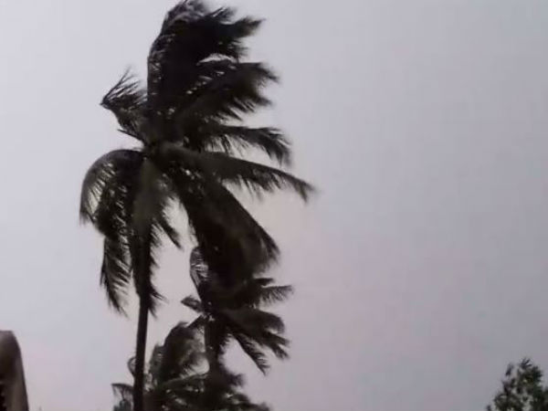 সাত-সকালে রাজ্যের পশ্চিমাংশে ঝড়-বৃষ্টি, কোন কোন জেলায় সতর্কতা, জেনে নিন সাত-সকালে রাজ্যের পশ্চিমাংশে ঝড়-বৃষ্টি, কোন কোন জেলায় সতর্কতা, জেনে নিন