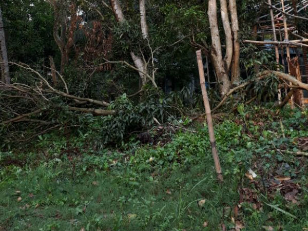 নদিয়ায় কালবৈশাখীর তাণ্ডব, শিলাবৃষ্টির জেরে ফসলহানিতে মাথায় হাত চাষিদের নদিয়ায় কালবৈশাখীর তাণ্ডব, শিলাবৃষ্টির জেরে ফসলহানিতে মাথায় হাত চাষিদের