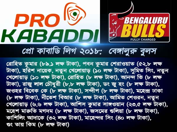 বেঙ্গালুরু বুলস