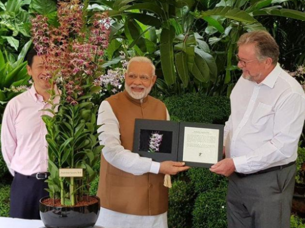 মোদীর নামে নামকরণ অর্কিডের, সিঙ্গাপুর সফরে ‘দিন্দোব্রিয়াম নরেন্দ্র মোদী’তে নয়া খ্যাতি মোদীর নামে নামকরণ অর্কিডের, সিঙ্গাপুর সফরে ‘দিন্দোব্রিয়াম নরেন্দ্র মোদী’তে নয়া খ্যাতি