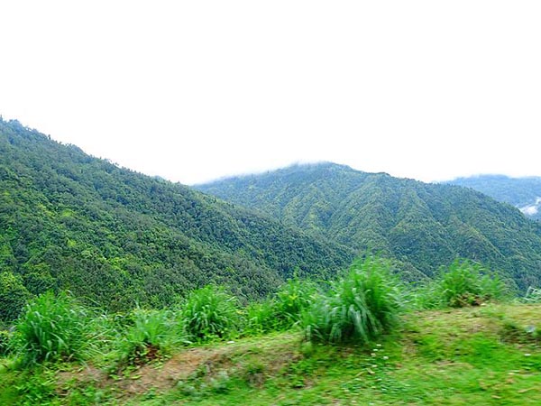 দওয়াইপানি